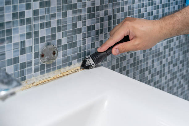 Best Residential Mold Removal  in Gaylord, MN
